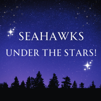 Photo of a starry night sky with the prom theme, Seahawks Under The Stars, written in the night sky.